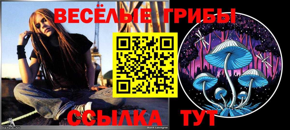 Галлюциногенные грибы Psilocybine cubensis Коммунар